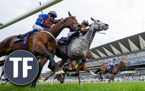 Horse Racing Tips: Friday's fancies across the tracks this evening.
